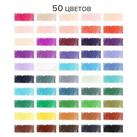 Карандаши цветные супермягкие яркие трехгранные BRAUBERG MAX, 50 цветов, грифель мягкий 3,3 мм, 181860