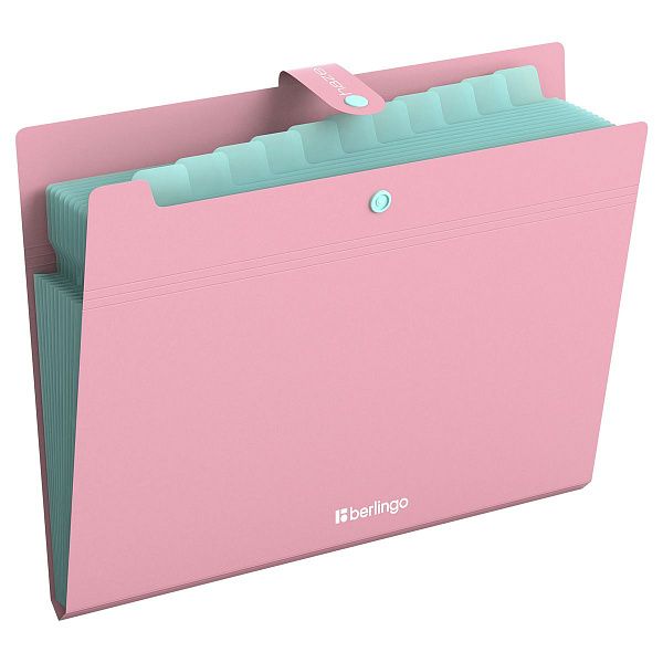 Папка 12 отделений Berlingo "Haze", А4, 600мкм, на кнопке, розовая