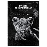 Бумага цветная тонированная, 50л., А4 BG, черная, для печати и эскизов, 80г/м2