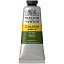 Краска акриловая художественная Winsor&Newton "Galeria", 60мл, туба, зеленый оливковый