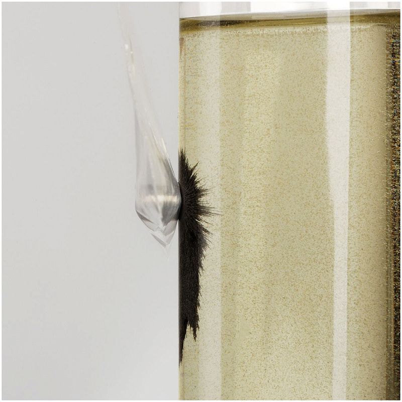 Набор для проведения опытов ТРИ СОВЫ «Магнитная буря», картонная коробка, европодвес