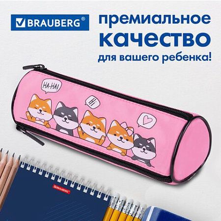 Пенал BRAUBERG, 3 отделения, нейлон, 21х7х7 см, "Puppies", 270839 
