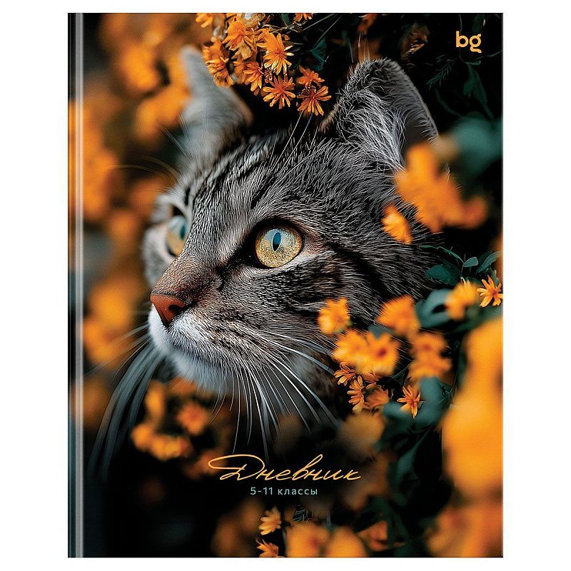 Дневник 5-11 кл. 48л. (ЛАЙТ) BG "Прятки", глянцевая ламинация