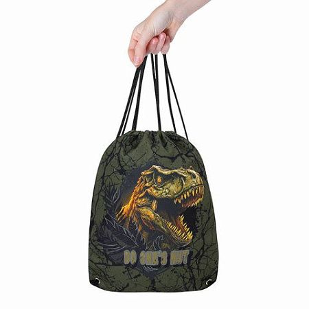 Мешок для обуви BRAUBERG PREMIUM, карман, подкладка, светоотражайка, 43х33 см, Dino attack, 272424 