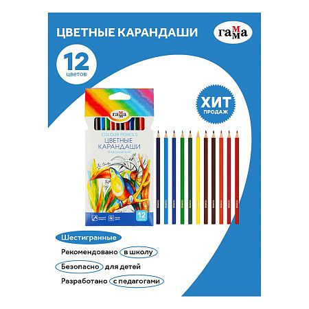 Карандаши цветные Гамма "Классические", 12цв., заточен., картон. упаковка, европодвес