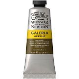 Краска акриловая художественная Winsor&Newton "Galeria", 60мл, туба, натуральная умбра