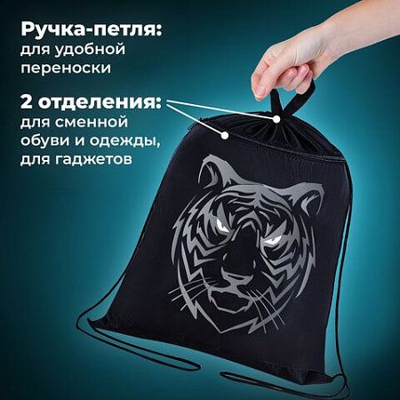 Мешок для обуви BRAUBERG, с петлёй, карман на молнии, 47х37 см, "Tiger", 271610 
