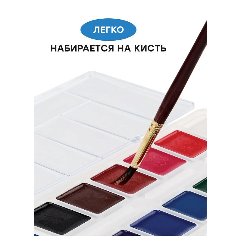 Акварель Гамма "Классическая", медовая, 12 цветов, без кисти, пластик. упак., европодвес NEW