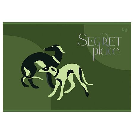 Альбом для рисования 32л., А4, на гребне BG "Secret place", выб. лак, тиснение фольга