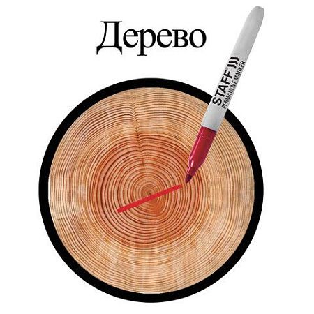 Маркер перманентный STAFF EVERYDAY PM-233, КРАСНЫЙ, эргономичный корпус, круглый наконечник 2 мм, 151235 