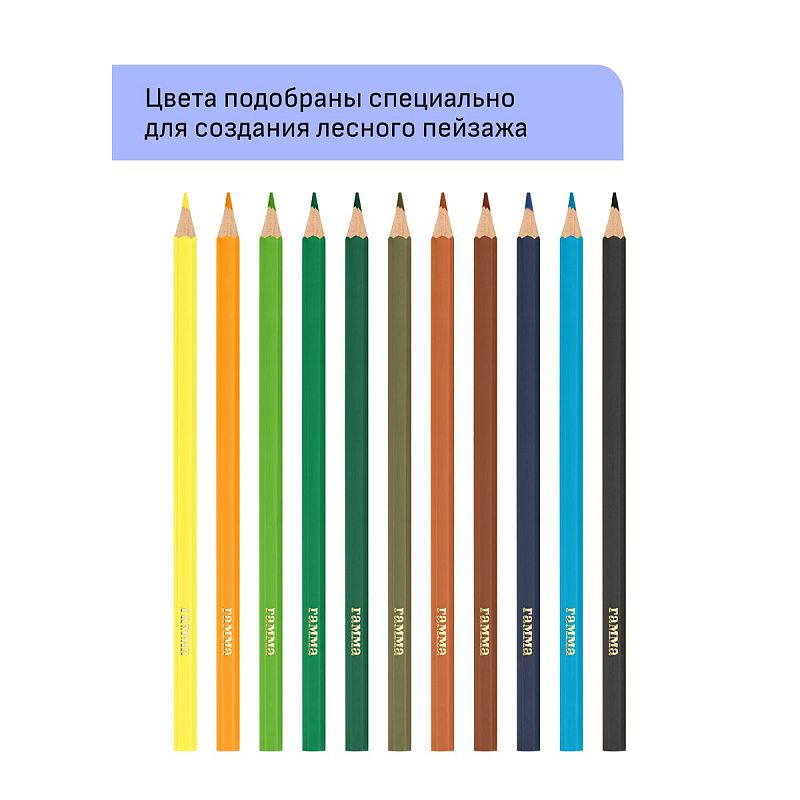 УЦЕНКА - Карандаши цветные Гамма "Хобби. Лесной пейзаж", 12цв., заточен., ПВХ, европодвес