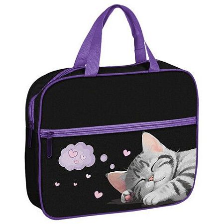 Папка на молнии с ручками BRAUBERG А4, 1 отделение, карман на молнии, 80 мм, Sleeping kitten, 273309