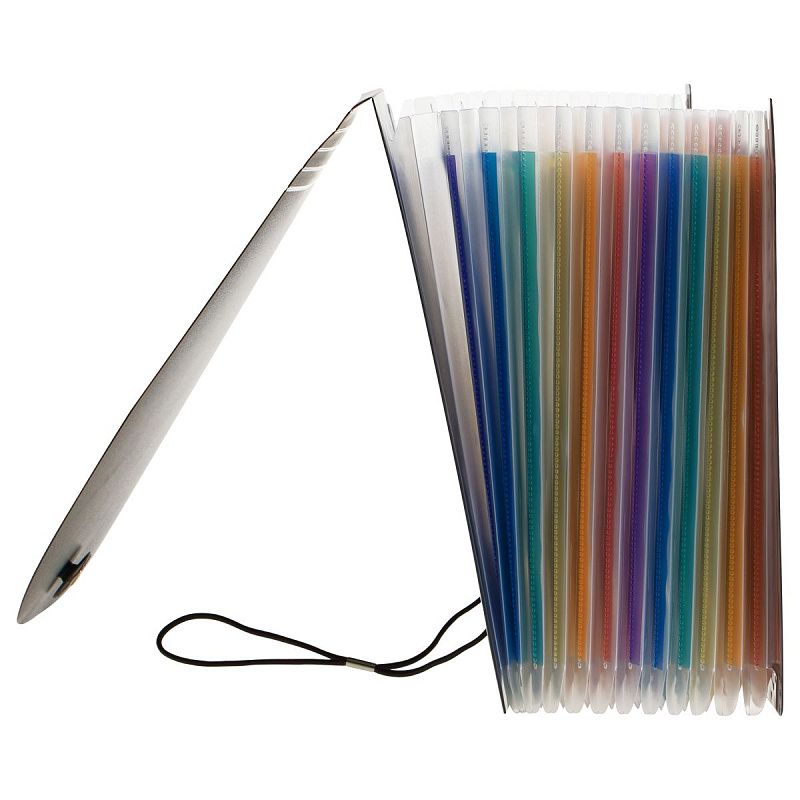 Папка-органайзер для хранения документов СТАММ А4, 13 отделений,  черный 