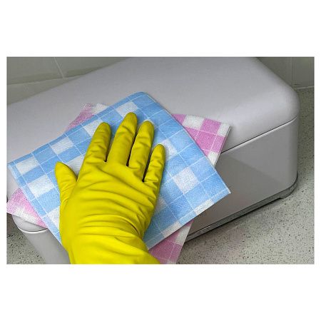 Салфетки для уборки Paclan "Practi", набор 5шт., вискоза, 35*35см, европодвес
