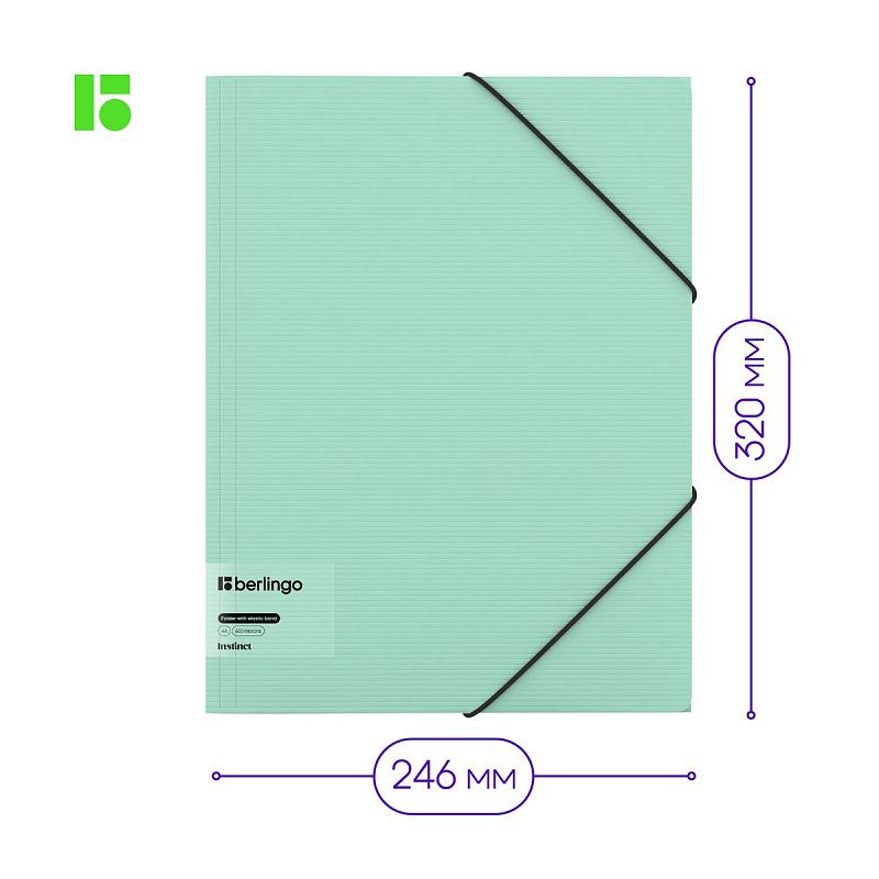 Папка на резинке Berlingo "Instinct" А4, пластик, 600мкм, мятный 