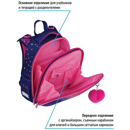 Ранец Berlingo Expert "Akita boy" 37*28*16см, 2 отделения, 2 кармана, анатомическая спинка 