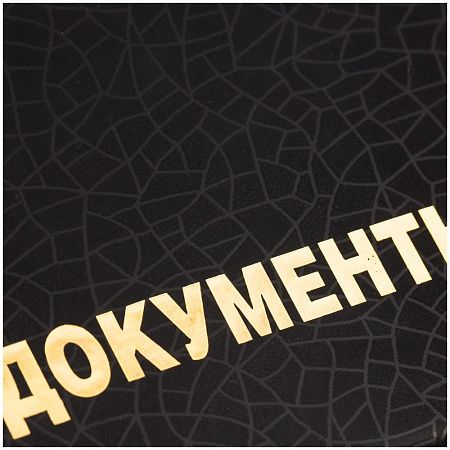 Обложка для автодокументов OfficeSpace ПВХ, Графит 