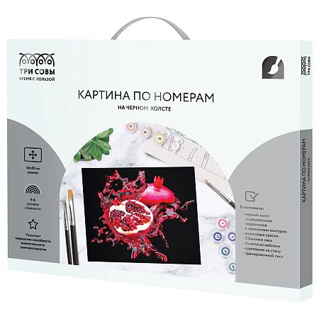 Картина по номерам на черном холсте ТРИ СОВЫ "Сочный гранат", 40*50, c акриловыми красками и кистями