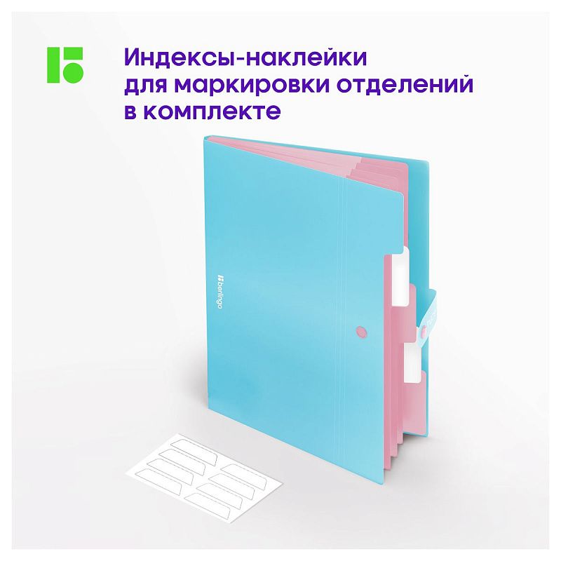 Папка 5 отделений Berlingo "Haze", А4, 600мкм, на кнопке, голубая, софт-тач 