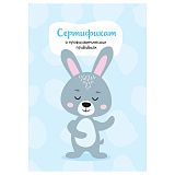 Сертификат о профилактических прививках OfficeSpace, 8л, А6 (105*148мм), форма 156/у-93, блок офсет, для мальчика