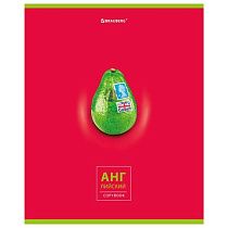 Тетрадь предметная "AVOCADO" 48 л., глянцевый лак, АНГЛИЙСКИЙ ЯЗЫК, клетка, BRAUBERG, 404275
