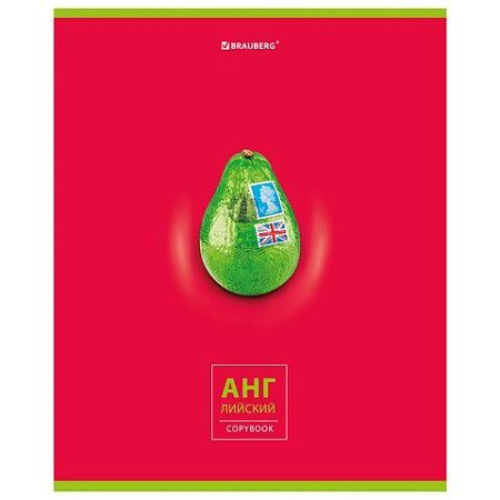 Тетрадь предметная "AVOCADO" 48 л., глянцевый лак, АНГЛИЙСКИЙ ЯЗЫК, клетка, BRAUBERG, 404275
