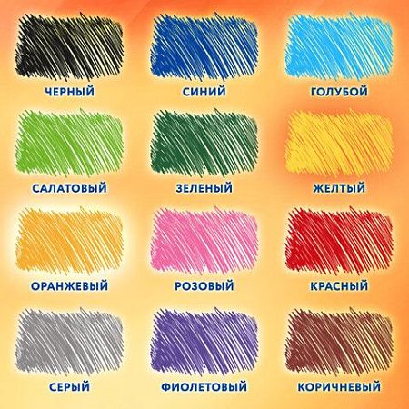 Карандаши цветные пластиковые, BRAUBERG PREMIUM 12 цветов + 1 чернографитный карандаш, трехгранный корпус, грифель 3 мм, 181936