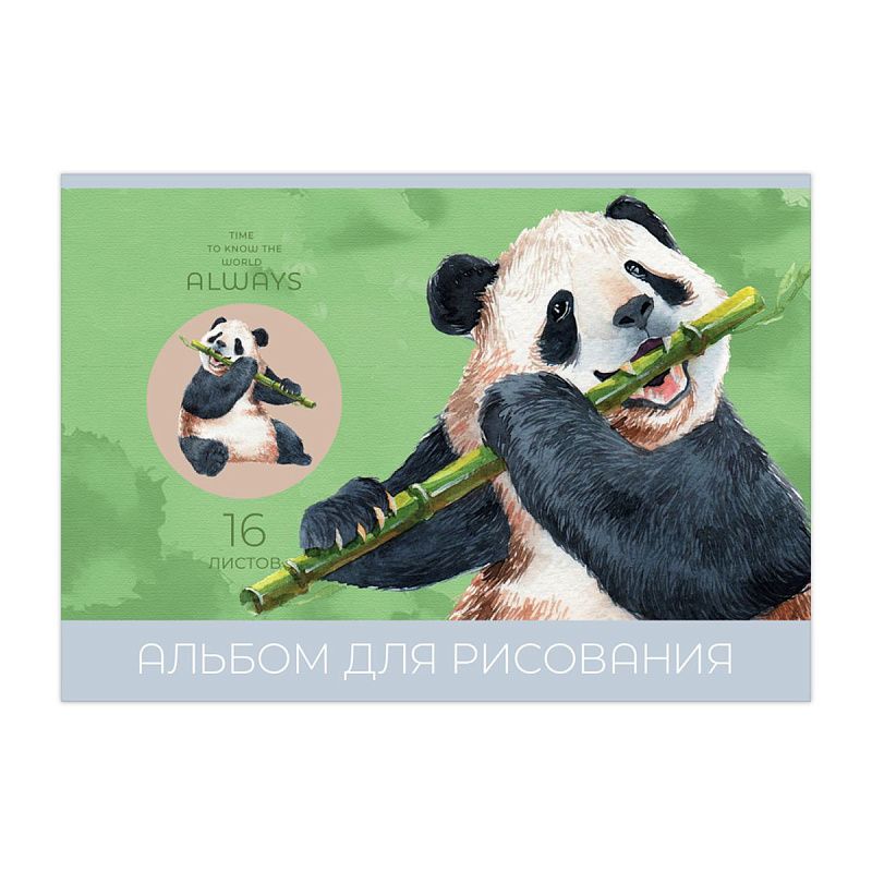 Альбом для рисования 16л., А5, на скрепке BG "Мир вокруг"