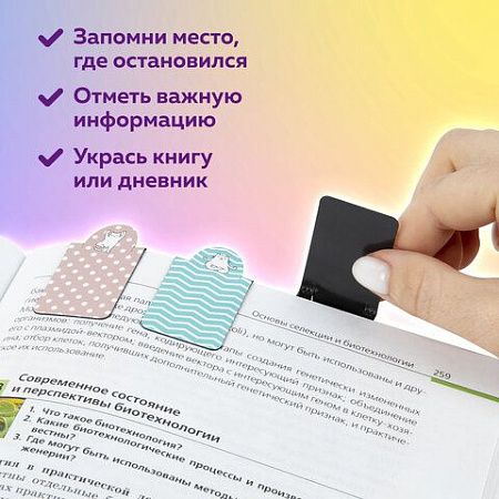 Закладки для книг МАГНИТНЫЕ c высечкой, "CAT YOGA", набор 6 шт., 35х25 мм, BRAUBERG, 113162 