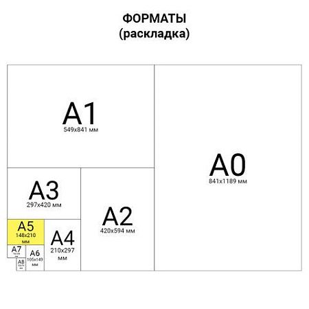 Тетрадь-словарь для записи английских слов, А5, 60 л., КОЖЗАМ, сшивка, клетка, "World", BRAUBERG, 404038