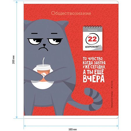 Тетрадь предметная 48л. ArtSpace "Котоцинизм" - Обществознание, ТВИН-лак