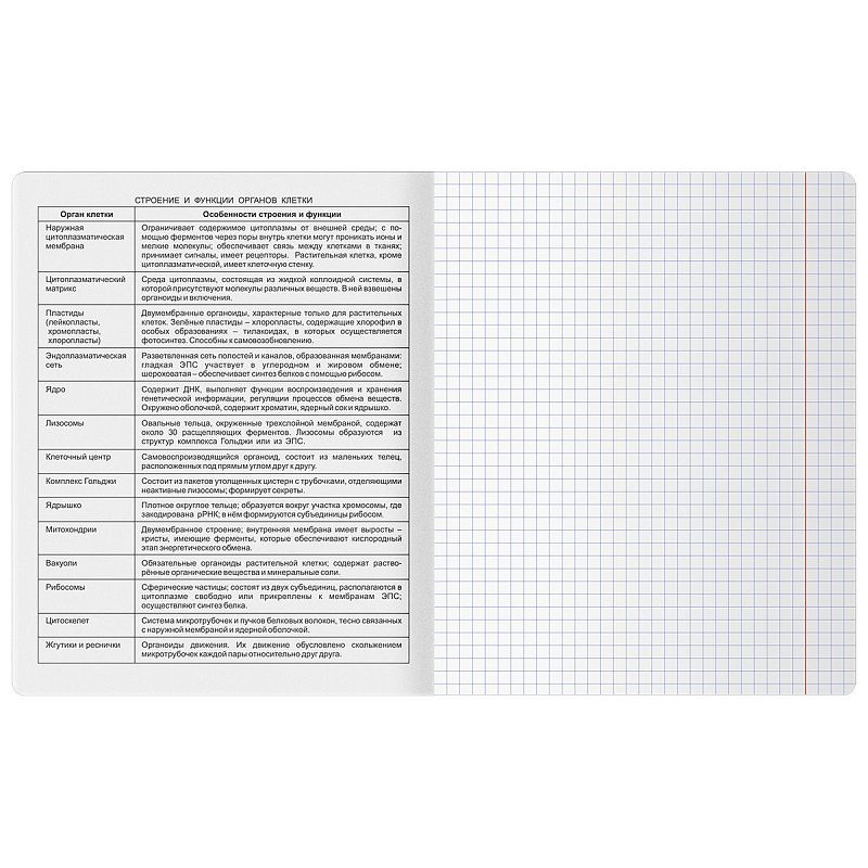 Тетрадь предметная 48л. BG "Печать времени" - Биология, тиснение