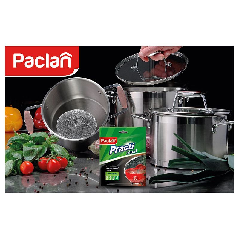 Губка для посуды Paclan "Practi", металлическая, 10*3,5см, 1шт.