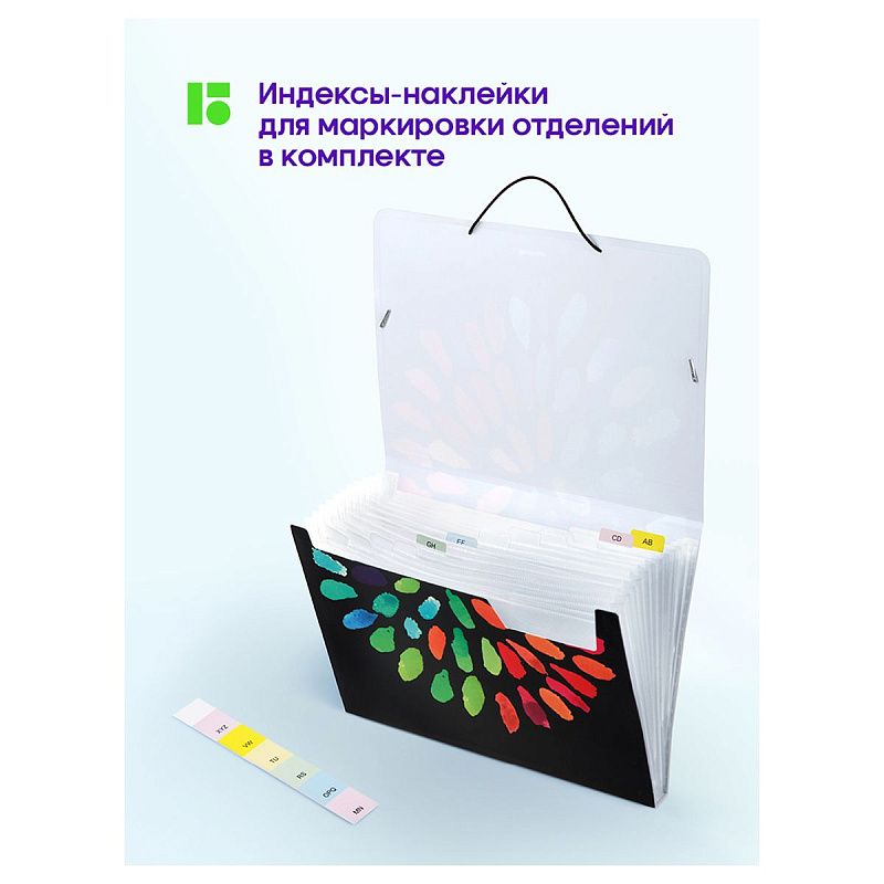 Папка 12 отделений Berlingo "Aqua" А4, 330*240*25мм, 700мкм, на резинке, c рисунком 