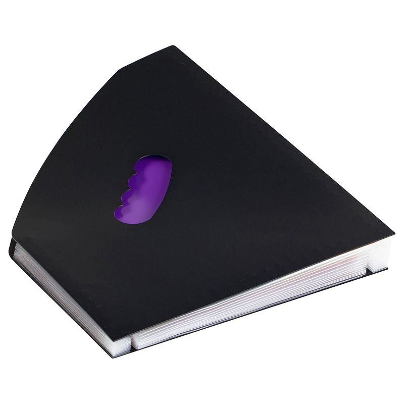 Лоток-органайзер для хранения документов СТАММ А4, 13 отделений,  черный 