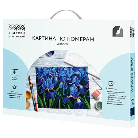 Картина по номерам на холсте ТРИ СОВЫ "Ирисы", 30*40, с акриловыми красками и кистями