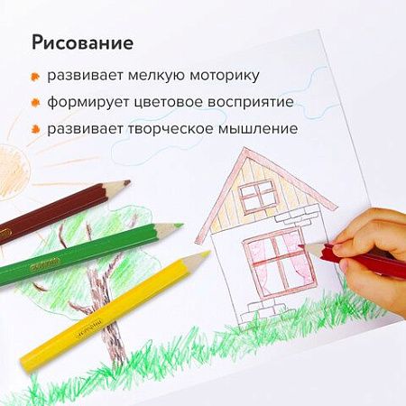 Карандаши цветные ПИФАГОР "МАЛЫШИ-КАРАНДАШИ", 12 цветов, укороченные, заточенные, 181344