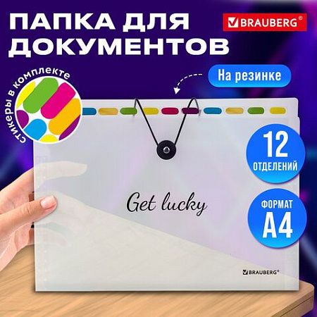 Папка-органайзер на резинке 12 отделений, BRAUBERG "Glassy", А4, прозрачная, 271929 