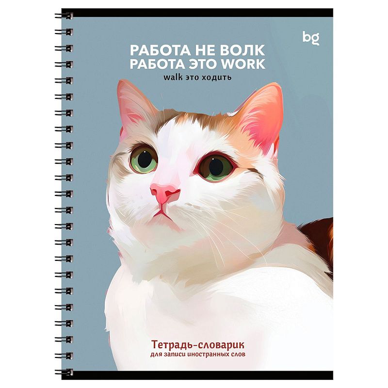 Тетрадь-словарик 48л., А5 для записи иностранных слов на гребне BG "Умные кошки"