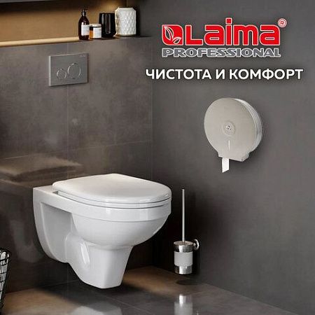 Диспенсер для туалетной бумаги LAIMA PROFESSIONAL BASIC (Система T2) малый, нержавеющая сталь, матовый, 605048 