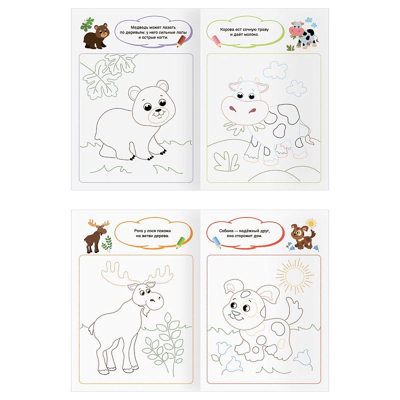 Раскраска 175*246мм, 16 стр., ТРИ СОВЫ "Обведи и раскрась", цветной контур