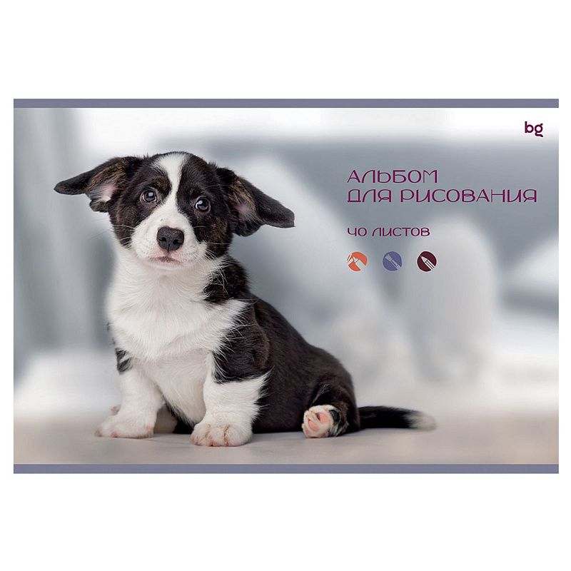 Альбом для рисования 40л., А4, на скрепке BG "Котик и собачка"