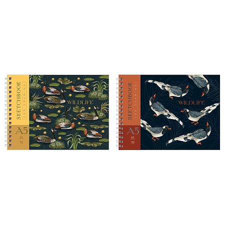 Скетчбук 60л. А5 на гребне BG "Птицы", 120г/м2