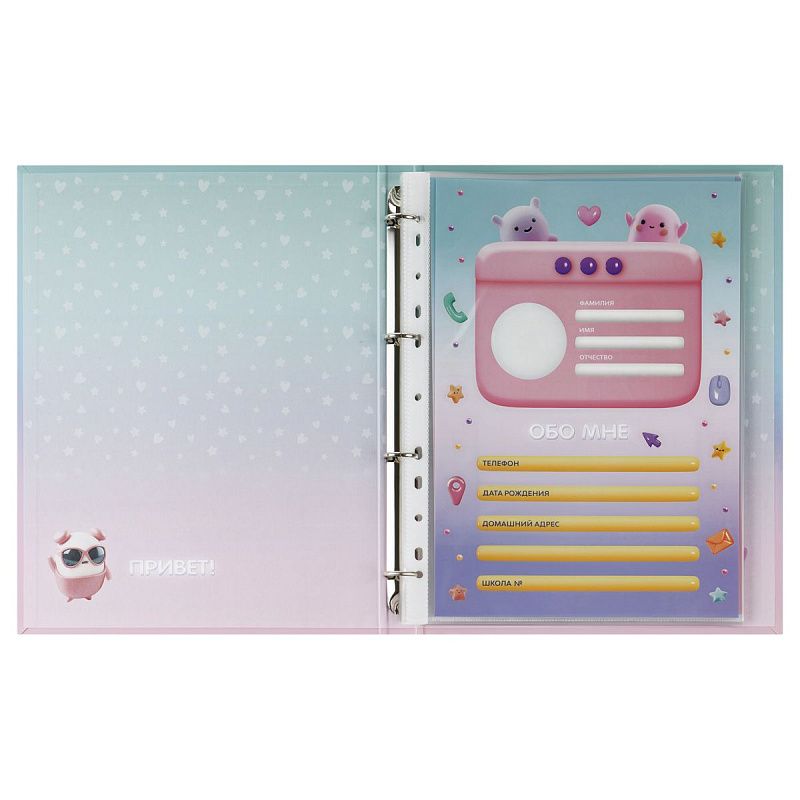 Папка-портфолио 7БЦ А4 BG, на 4 кольцах для школьницы, 20 файлов, 10 вкладышей 