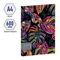 Папка на 2 кольцах Berlingo "Neon Paradise", 24мм, 600мкм, с рисунком, D-кольца, с внутр. карманом