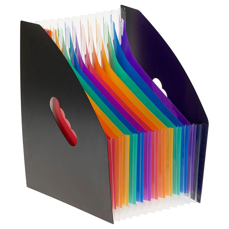 Лоток-органайзер для хранения документов СТАММ А4, 13 отделений,  черный 