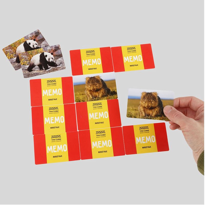 Игра настольная ТРИ СОВЫ "Мемо. Животные ", 50 карточек, картонная коробка 