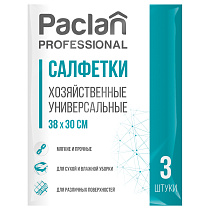 Салфетки для уборки Paclan "Professional", набор 3шт., вискоза, 38*30см