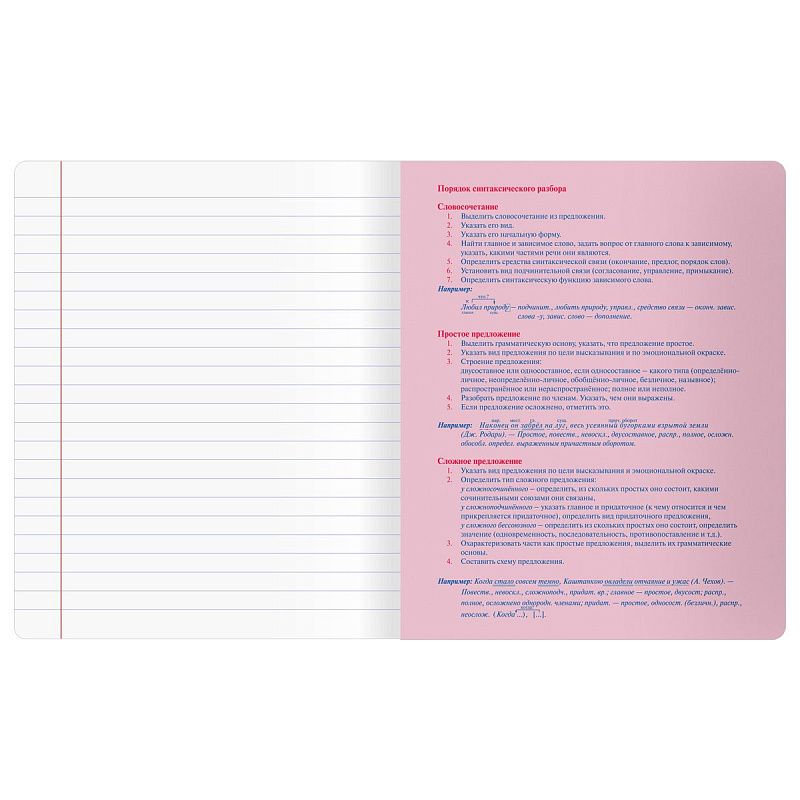 Тетрадь предметная 48л. BG "Информационное поле" - Русский язык, soft-touch ламинация, выб. лак