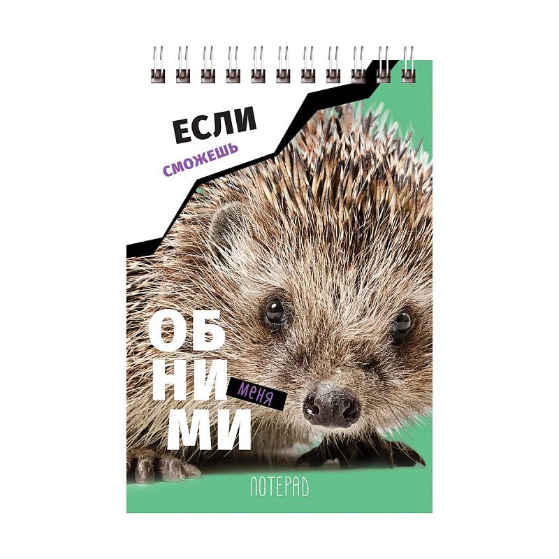 Блокнот А6 40л. на гребне BG "Если сможешь"